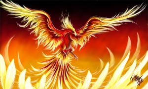 Do or Die- the Phoenix' Resurrection